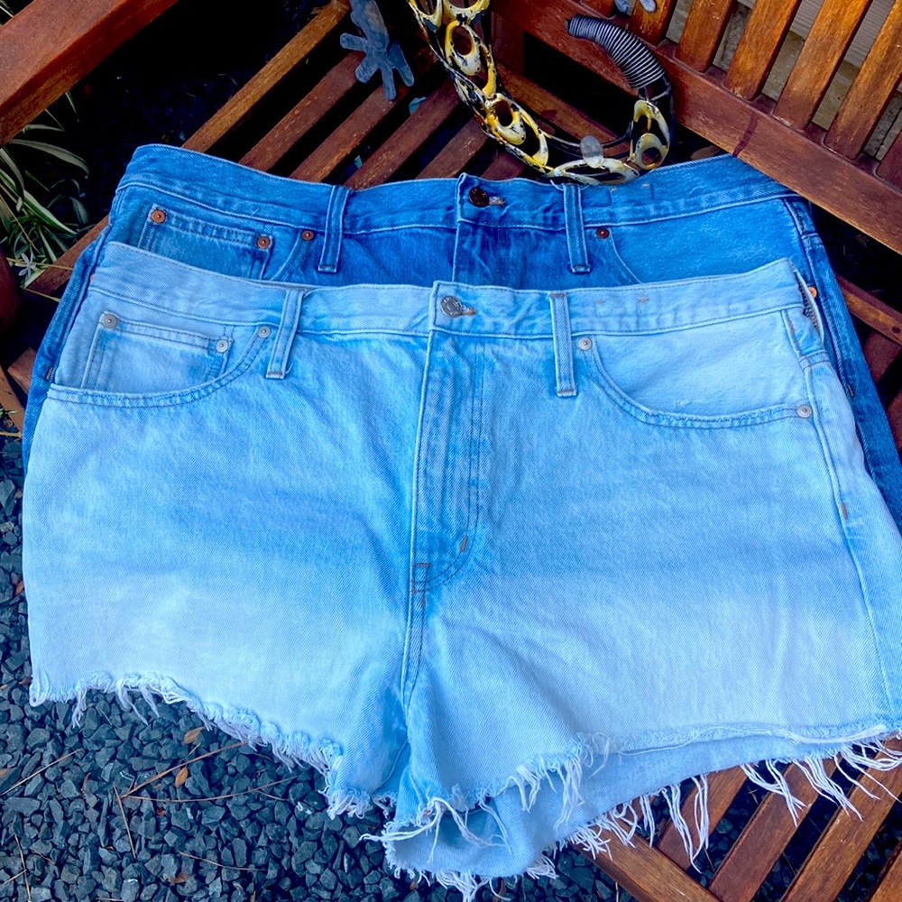 Two pair of Maxwell jean shorts/10 each